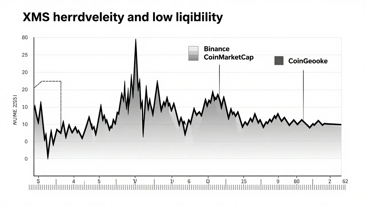 Technical sketch of XMS market volatility charts